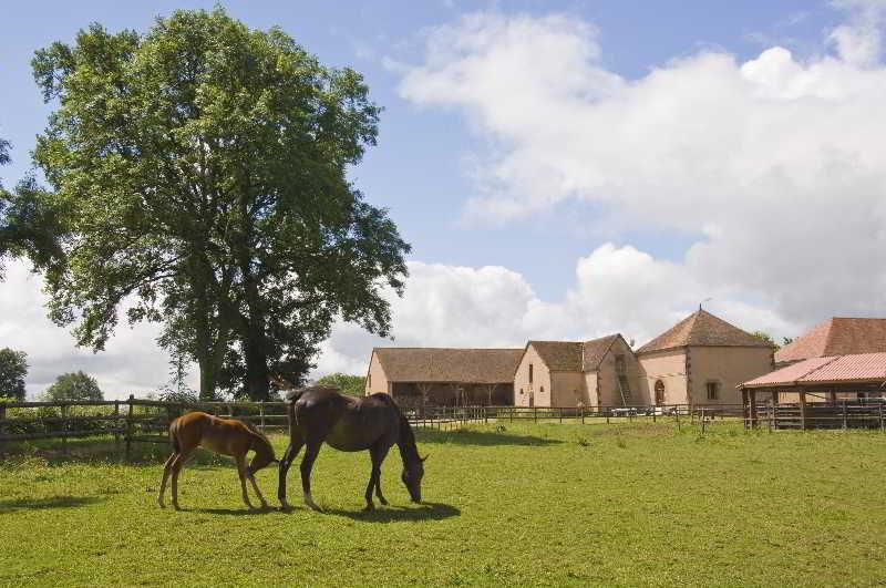 Chateau D'Ygrande - Teritoria Exterior foto